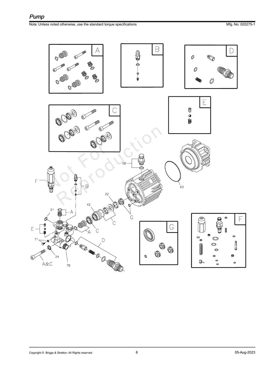 BRIGGS AND STRATTON, 020275-1, IPL.6